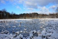 parki przyrodnicze w pobli u warszawa Kampinoski Park Narodowy