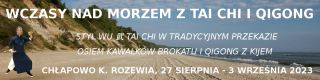 zaj cia tai chi warszawa Akademia Yiquan