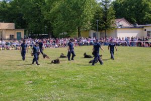 szko y policyjne warszawa Centrum Szkolenia Policji