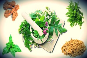 o rodki do studiowania naturopatii warszawa Cech Naturopatów i Hipnotyzerów