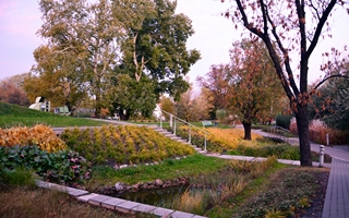 ogrody botaniczne warszawa Ogród Biblioteki Uniwersyteckiej