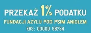 domy dla psow warszawa Fundacja Azylu Pod Psim Aniołem