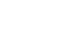 firmy ochroniarskie warszawa Lion Safety Security